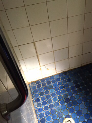 Cracked shower tiles, water leakage leading to mould